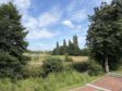 *** Rarität, Naturperle mit (Weit-) Blick *** - mit (Weit-) Blick