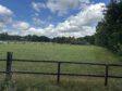 *** Rarität, Naturperle mit (Weit-) Blick *** - Natur pur