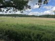 *** Rarität, Naturperle mit (Weit-) Blick *** - einfach herrlich und