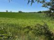 *** Exzellente Ortsrandlage, barrierearm, Kaminofen, Wintergarten und vieles mehr in Garlstorf *** - exzellente Randlage