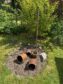 *** Charmantes Zuhause mit Holzofen, Garage, Wintergarten und vieles mehr *** - liebevolle