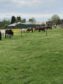 *** Jeder ist seines Glückes Schmied *** gepflegte Reitanlage nahe dem Turniergelände bei Luhmühlen - eigene und